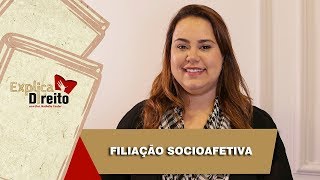 Explica Direito Filiação Socioafetiva  2019 [upl. by Ecela637]